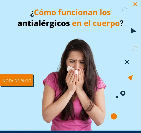 ¿Cómo funcionan los antialérgicos en el cuerpo?